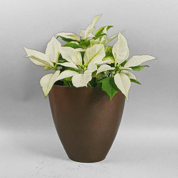 Copper Flower Pot